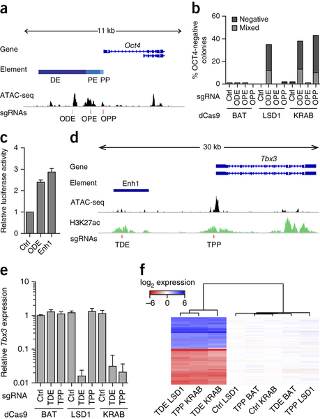 dCas9-effector fusions regulate cis-regulatory elements in an effector-dependent manner.