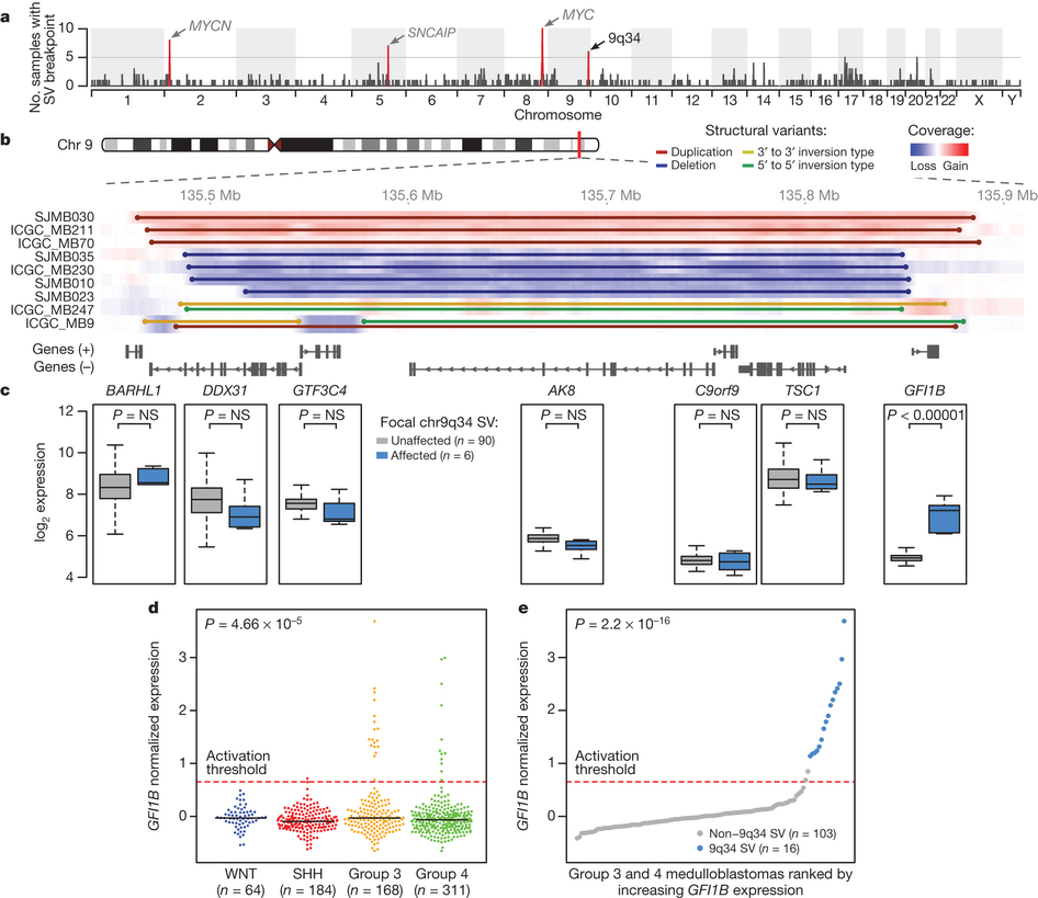 Recurrent SVs activate the GFI1b proto-oncogene in medulloblastoma