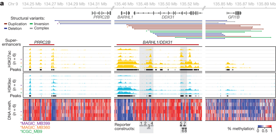 Recurrent SVs juxtapose GFI1B proximal to active enhancers on 9q34.